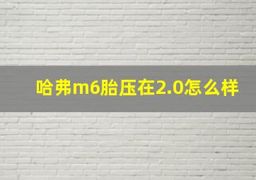 哈弗m6胎压在2.0怎么样