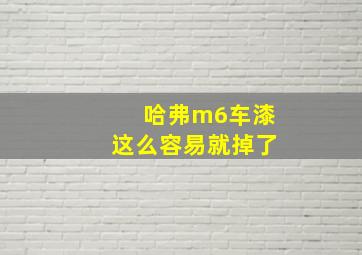 哈弗m6车漆这么容易就掉了