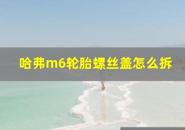 哈弗m6轮胎螺丝盖怎么拆