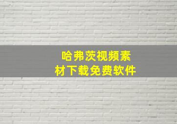 哈弗茨视频素材下载免费软件