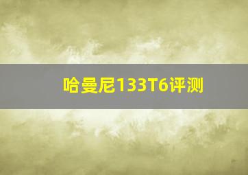 哈曼尼133T6评测