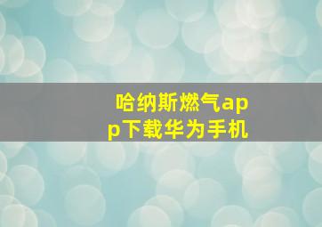 哈纳斯燃气app下载华为手机