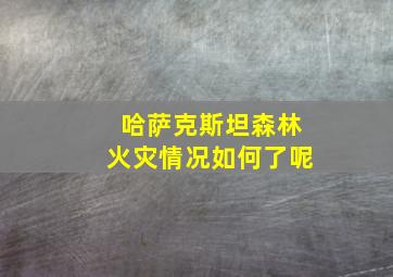 哈萨克斯坦森林火灾情况如何了呢