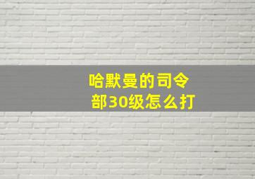 哈默曼的司令部30级怎么打