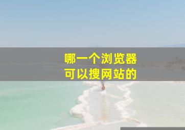 哪一个浏览器可以搜网站的