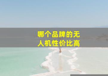 哪个品牌的无人机性价比高