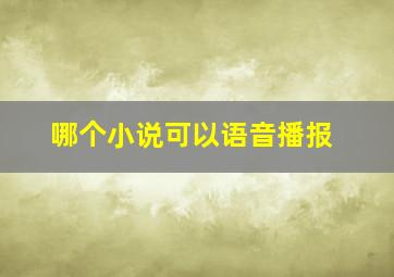 哪个小说可以语音播报