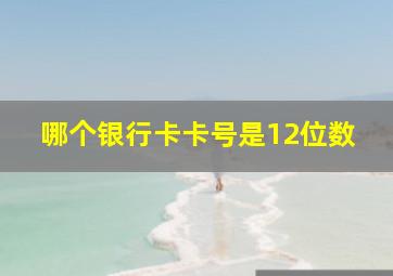 哪个银行卡卡号是12位数