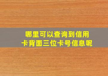 哪里可以查询到信用卡背面三位卡号信息呢