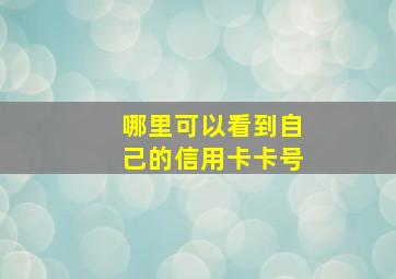 哪里可以看到自己的信用卡卡号