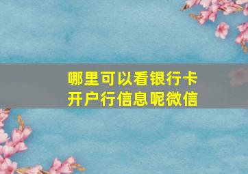 哪里可以看银行卡开户行信息呢微信