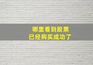 哪里看到股票已经购买成功了