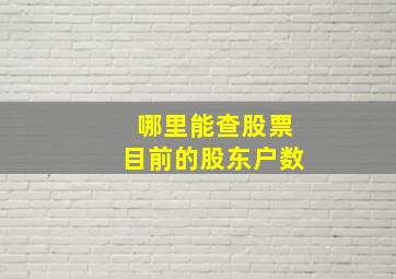 哪里能查股票目前的股东户数