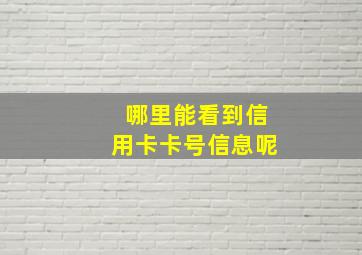 哪里能看到信用卡卡号信息呢