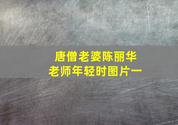 唐僧老婆陈丽华老师年轻时图片一