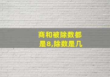 商和被除数都是8,除数是几