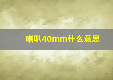 喇叭40mm什么意思