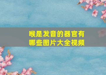 喉是发音的器官有哪些图片大全视频