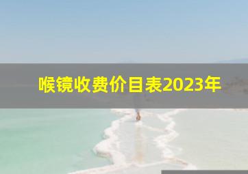 喉镜收费价目表2023年