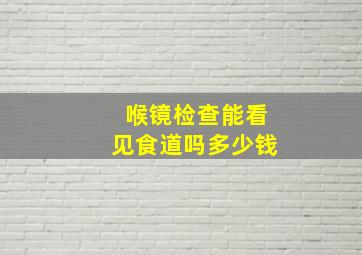 喉镜检查能看见食道吗多少钱