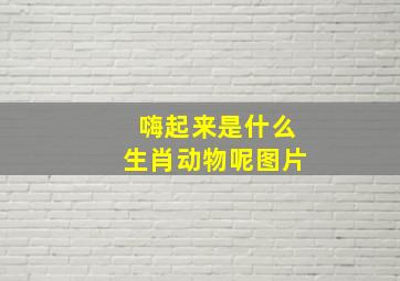 嗨起来是什么生肖动物呢图片