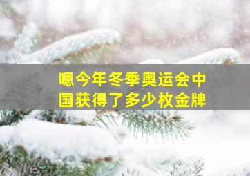 嗯今年冬季奥运会中国获得了多少枚金牌