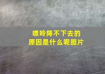 嘌呤降不下去的原因是什么呢图片