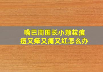 嘴巴周围长小颗粒痘痘又痒又痛又红怎么办