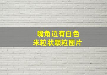 嘴角边有白色米粒状颗粒图片