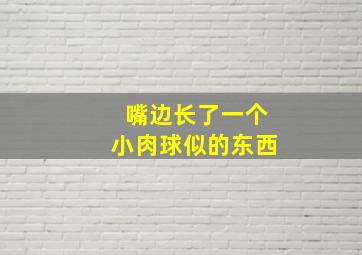 嘴边长了一个小肉球似的东西