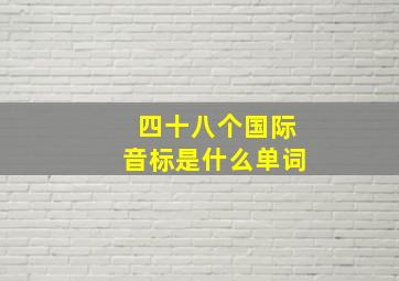 四十八个国际音标是什么单词