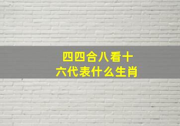 四四合八看十六代表什么生肖