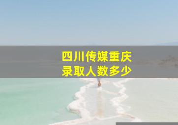 四川传媒重庆录取人数多少