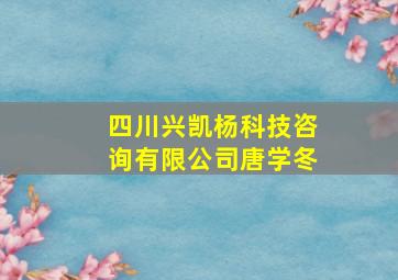 四川兴凯杨科技咨询有限公司唐学冬