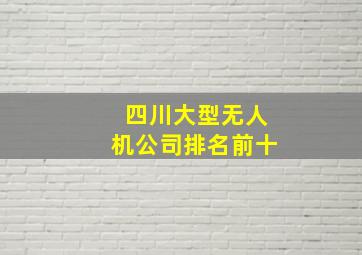 四川大型无人机公司排名前十