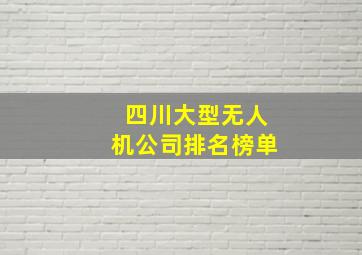 四川大型无人机公司排名榜单