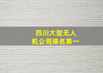 四川大型无人机公司排名第一