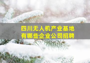 四川无人机产业基地有哪些企业公司招聘