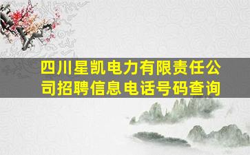 四川星凯电力有限责任公司招聘信息电话号码查询