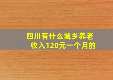 四川有什么城乡养老收入120元一个月的