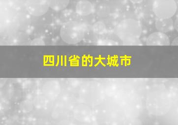 四川省的大城市