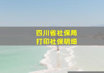 四川省社保局打印社保明细