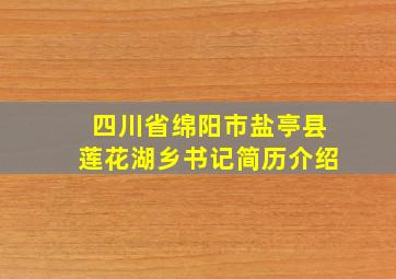 四川省绵阳市盐亭县莲花湖乡书记简历介绍