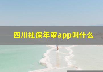 四川社保年审app叫什么