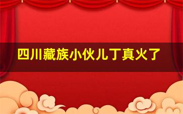 四川藏族小伙儿丁真火了