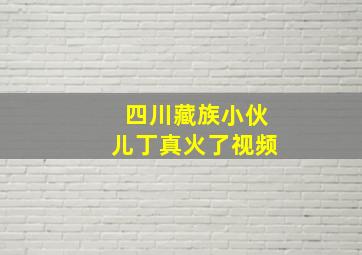 四川藏族小伙儿丁真火了视频