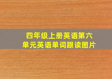 四年级上册英语第六单元英语单词跟读图片