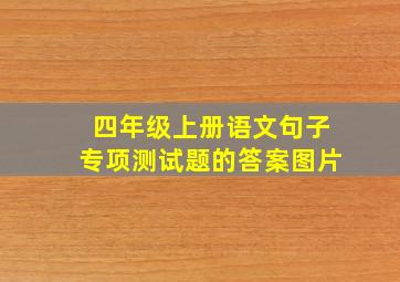 四年级上册语文句子专项测试题的答案图片