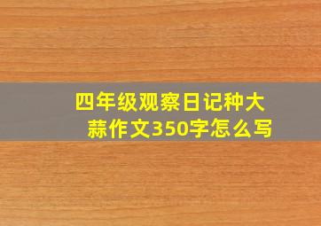 四年级观察日记种大蒜作文350字怎么写