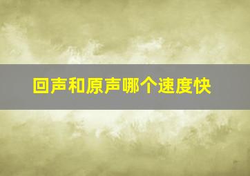 回声和原声哪个速度快